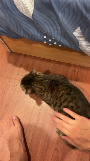 打屁股
