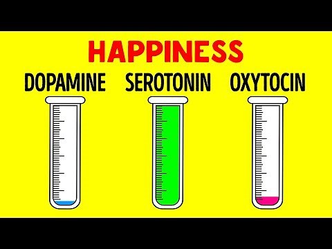 How Hormones Influence You and Your Mind