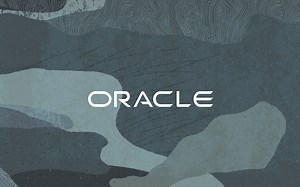 Oracle P6 软件培训视频入门到精通-房建案例P6视频-承音Chengyin-学习-哔哩哔哩视频