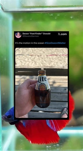 Ladies is Devon “feet finder” Oswald correct? #collage #frat #sorority #CapCut