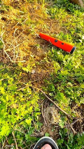 Old Coins Found With Pinpointer Metal Detector #foundcoin #pinpointermetaldetector #shortsfeed