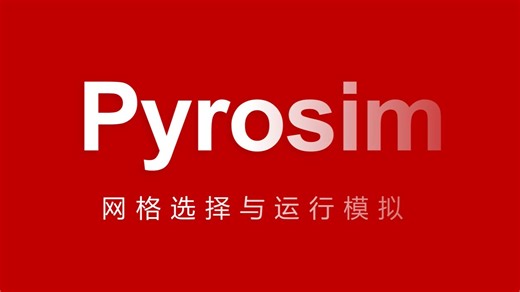 Pyrosim：网格选择与运行模拟