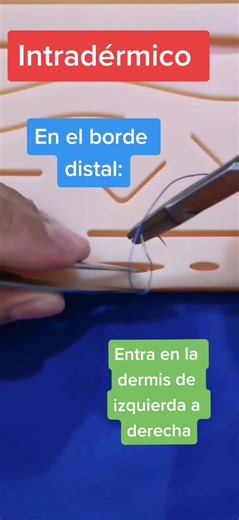 Cómo hacer punto intradérmico en cirugía veterinaria