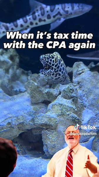 The Boca Aquarium on TikTok