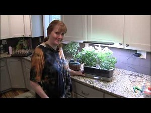 How to Grow a Hydroponic Herb Garden