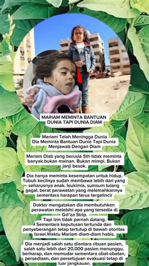 Info | Cimo Cimo Cimo