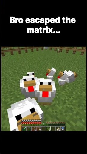 matrix... #shortsfeed #minecraft