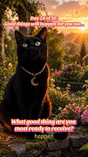Day 24 of 30. Life has not forgotten your address. Comment Day 24… what good thing are you ready to receive? 🐾🖤🐈‍⬛ #TheMidnightLibrarian #blessings #heal #healingjourney #love