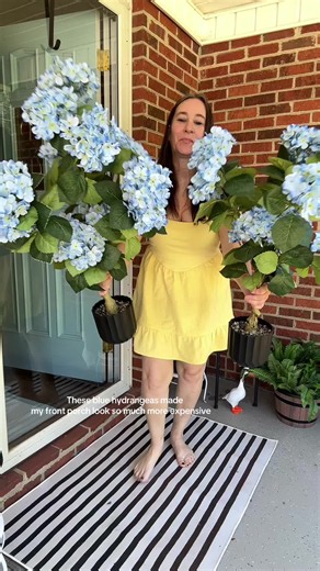 I wanted my front porch to feel a little more like summer, so I added these gorgeous blue hydrangeas. They instantly made my entryway feel brighter, more welcoming, and honestly look way more expensive than they were.#dealsforyoudays #flowers #artificialflorals #hydrangeas #florals
