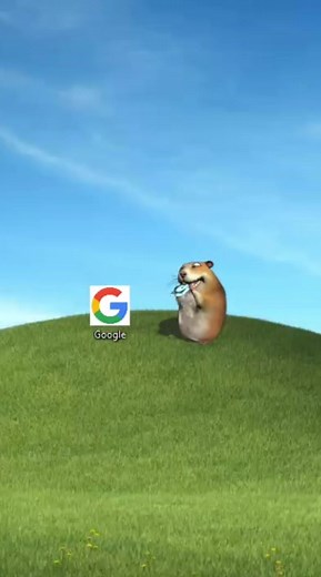 Chomik Eats Google - Rating 6/10