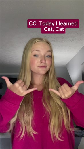 Cat 🐈 in ASL (Not a Teacher) #americansignlanguage #signlanguage #asl #signoftheday #cat #catsofinstagram