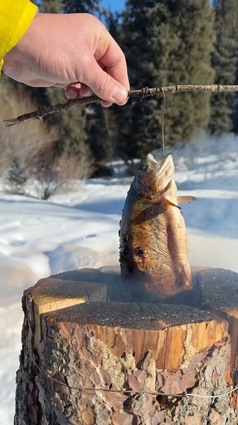 winter fishing😍 #survival #outdoorcooking #outdoors #fishing #fish #winter #food #nature