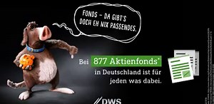 Bei der großen Auswahl an Aktienfonds in Deutschland ist sicher für jeden etwas dabei, denn das Fondsmanagement hält rund um den Globus Ausschau nach interessanten Anlagemöglichkeiten. Überzeugen Sie sich selbst und finden Sie den passenden Aktienfonds. _____________________ *Fonds enthalten Risiken. | DWS Group