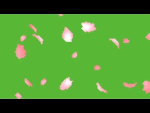 Mesmerizing Cherry Blossom Green Screen Animation