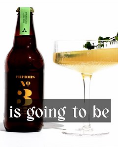 Unwind with adaptogens this year, not booze. Join thousands & subscribe to get 3 bottles free when you order 12 monthly! | Curious Elixirs