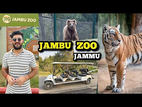 JAMBU ZOO JAMMU | Largest Zoo of North India | Tiger, Lion, Leopards, Bears & Crocodiles 2025