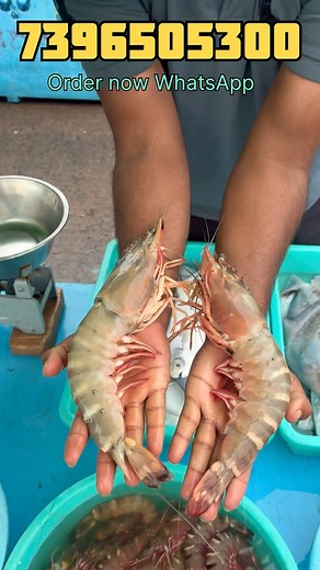 Anyone sea food wanted msg me WhatsApp 7396505300 | #beachboynaidu #beachboyseafoods #prawns #fish #crabs | BeachBoy Sea Foods