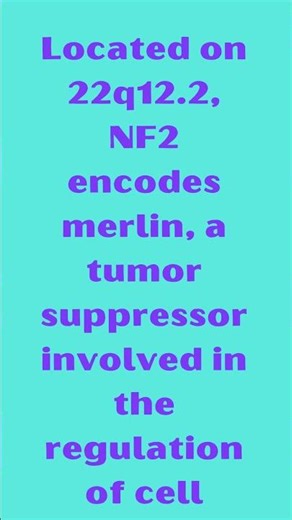 NF2 Neurofibromatosis 2