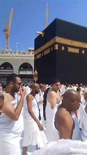 Explore Search for Wonder Mom Tips