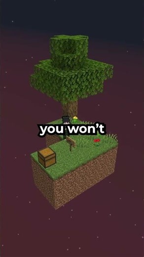 servers that will make your experience 500x times better #minecraft #minecraftserver #java #skyblock