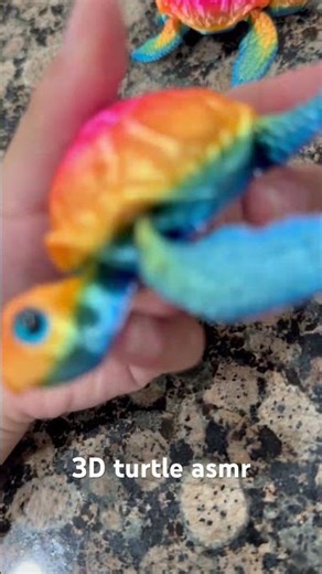 Turtle asmr