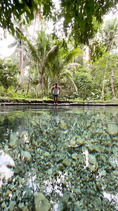 16K views · 120 reactions | Enchanted spring water #highlights | Glademer | Facebook