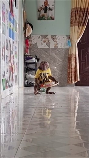 Something went wrong, the cup fell | Cutis