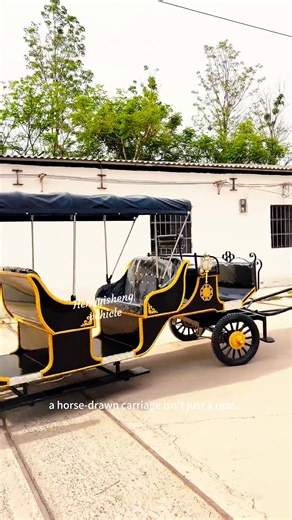 horse-drawn carriage isn't just a ride... it's an experience. Ready to create some memories? 💫🐴 #RoyalJourney #LuxuryLifestyle #carriage #horsedrawncarriage | Hengyisheng Vehicle