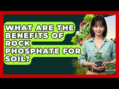 What Are The Benefits Of Rock Phosphate For Soil? - The World of Agriculture