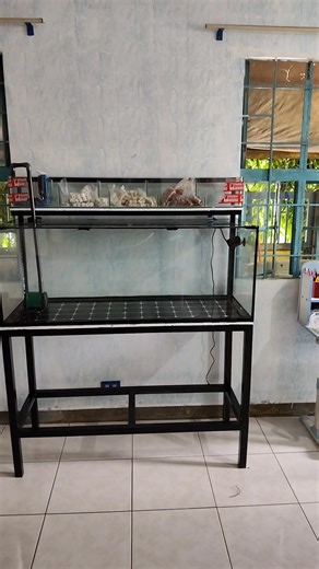 Done Delivered and Set Up 75 Gallons Full Set Client From Capas Tarlac Maraming salamat po sainyo Tiwala Happy Fish Keeping ingat and God Bless 🤗 | Kiah David