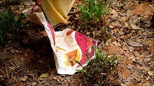 53K views · 746 reactions | Dont ever think China exports only Toys but it exports seeds to India too. Day by day we are becoming slaves. It is our duty now to respect mother earth and save Bharata Maa by rejecting these seeds. Here goes fourth video of the series #ThisIsNot1962 #MotherEarth | Chakravarthy Mithun | Facebook