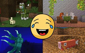 你从未玩过的MC全新版本 27