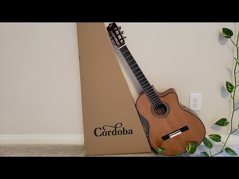 I got a new nylon string guitar - Cordoba 12 Natural (Fusion series)!
