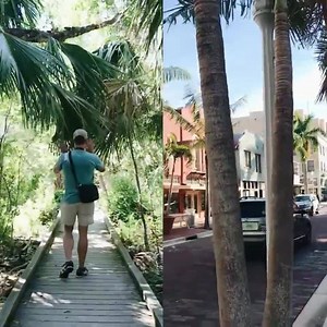 Visit Fort Myers on Reels | Facebook