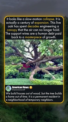 CENTURY OF GROWTH