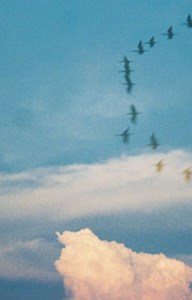 Deep Magic - Crystal Visions