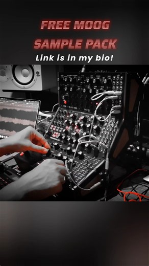 Moog Samples (DFAM, Labyrinth, Subharmonicon)