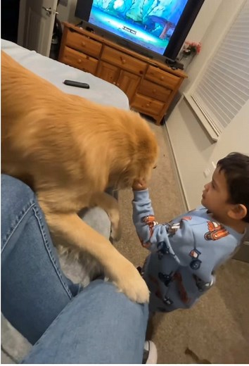 The Dog's Hilarious Reaction to Kids