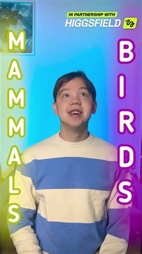 Are these mammals or birds? 🕵️ Funny sorting game #forkids