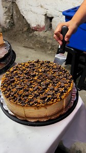 1.8M views · 16K reactions | El famoso pastel tortuga hecho por chefs | El Gordito Gourmet | Facebook