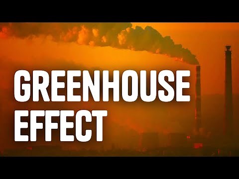 The Greenhouse Effect