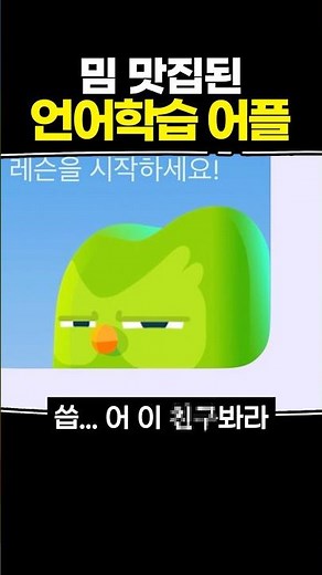 밈 맛집된 언어 학습 어플