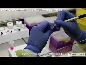 SARS-CoV-2 RNA Extraction using the GenAmplify™ Viral RNA Purification Kit