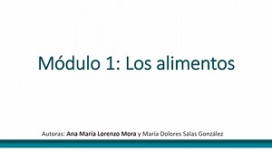 Videotutorial M1 M. AyD