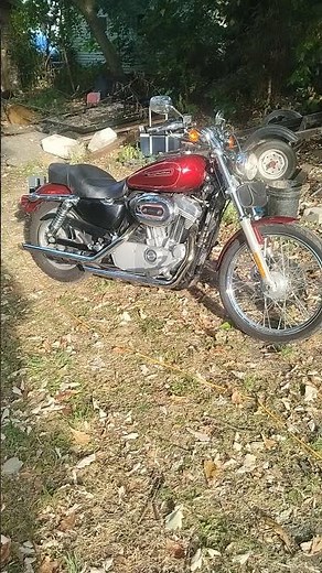 2009 883 Sportster drag pipes