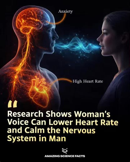 Understanding Auditory Cues and Relaxation Techniques