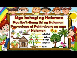 MGA BAHAGI NG HALAMAN, MGA IBA'T-IBANG URI,KAILANGAN NG MGA HALAMAN AT MGA PAKINABANG NITO SA TAO.