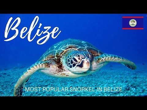 HOL CHAN & SHARK RAY ALLEY SNORKEL - BELIZE