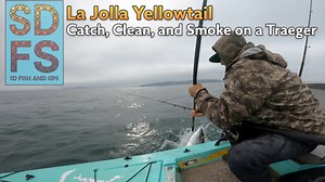 La Jolla yellowtail: Catch, clean, and smoke on a Traeger