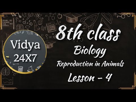 8th Class Biology Lesson 4 Reproduction in Animals | AP & TS SCERT | Full Telugu Explanation
